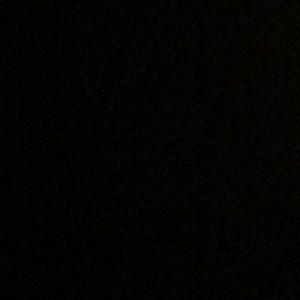 Meet your Posher, Terry